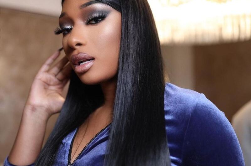 WATCH Megan Thee Stallion shares progress on her natural hair journey